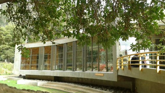 Artequin Museum Vina del Mar