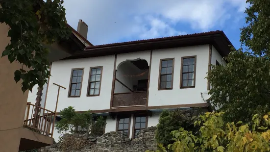 niksar kalesi