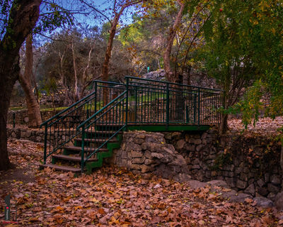 Ein Hemed National Park