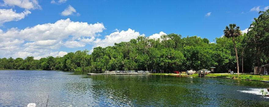 Ponce de Leon