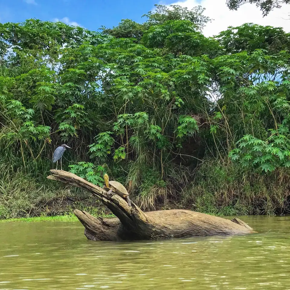 5_Jose´s Crocodile River Tour