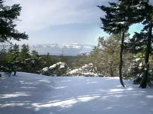 Schoodic Mountain
