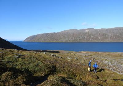 Hornstrandir Nature Reserve