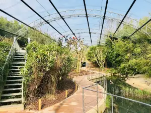 Parc des Oiseaux