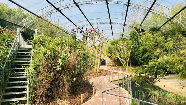 Parc des Oiseaux