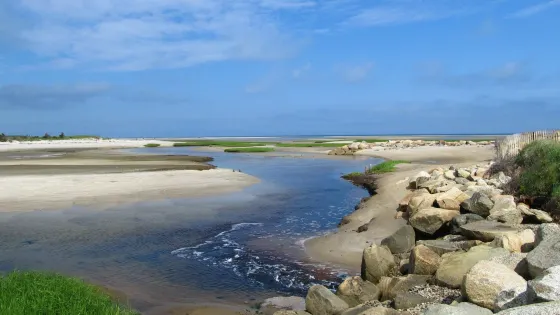 Paine's Creek Beach