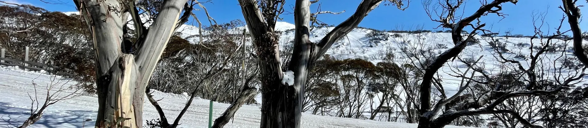 Ski Resorts