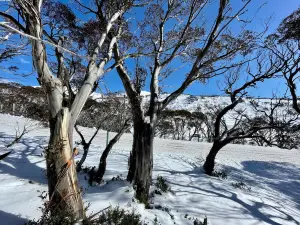 Perisher Ski Resort