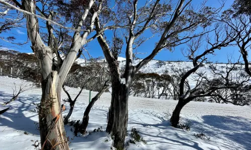 Perisher Ski Resort