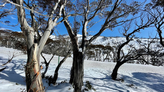 Perisher Valley
