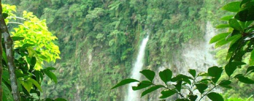 Mahagnao Volcano National Park