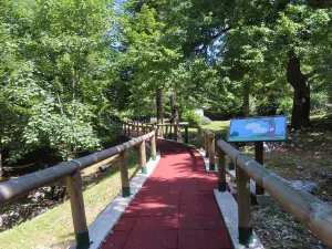 Garden of the Apennine Flora