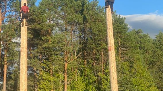 Jack Pine Lumberjack Shows