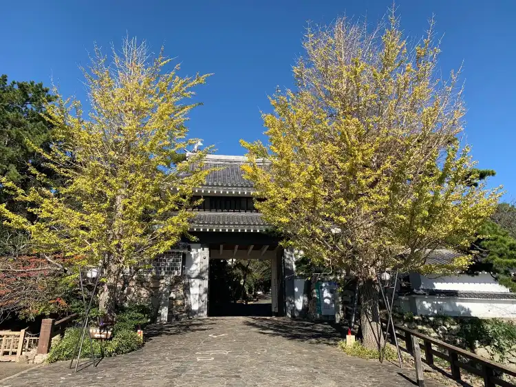 Tahara