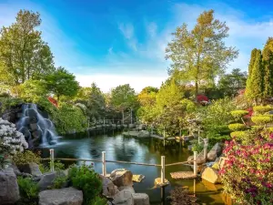 Zen-garden