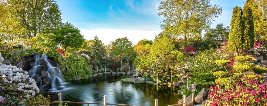 Zen-garden