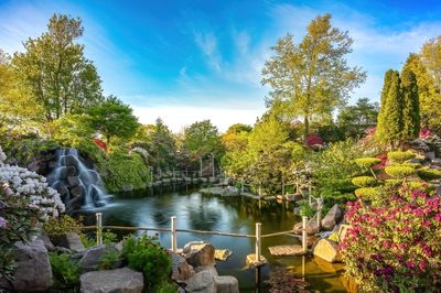 Zen-Garden