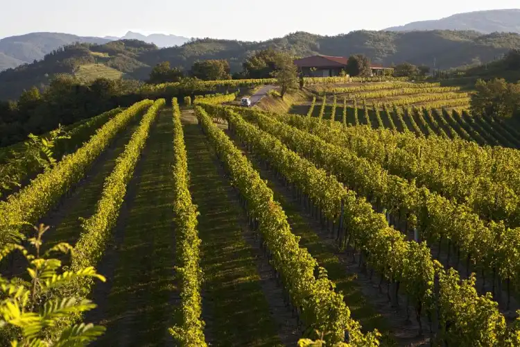 Hotels in Dolegna del Collio
