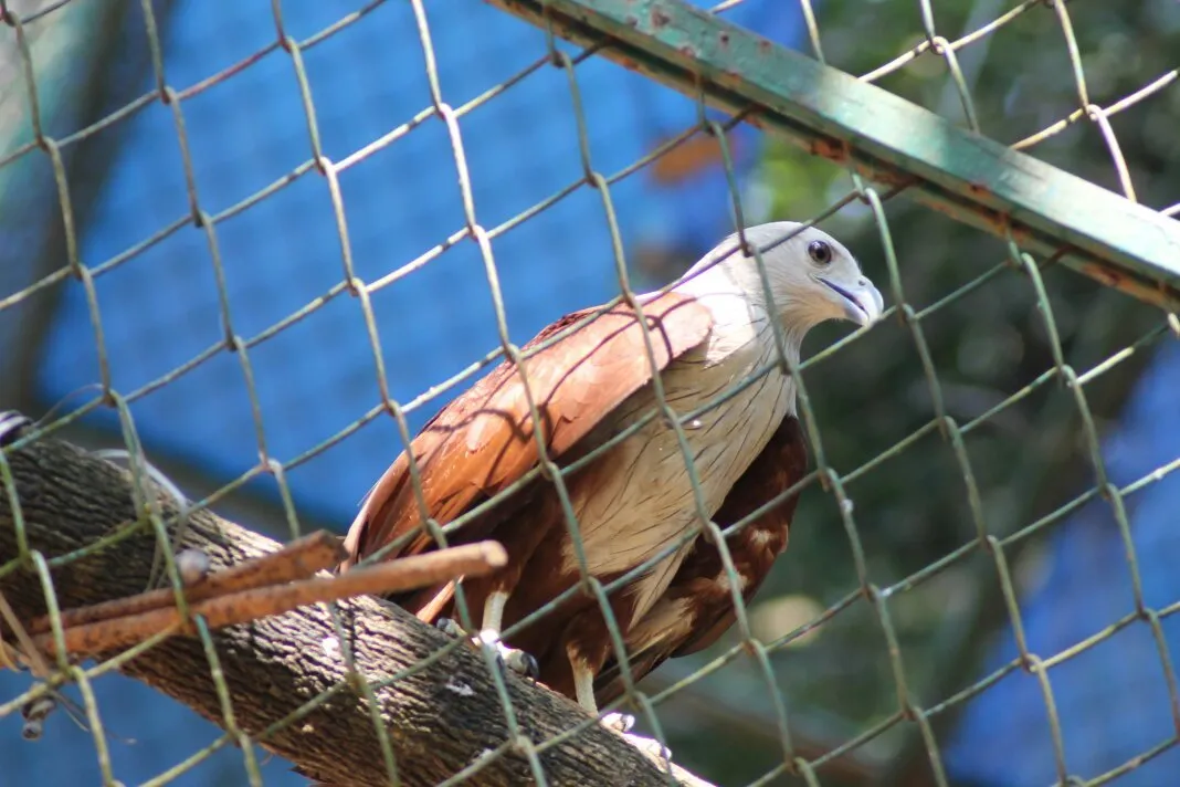 3_Thrissur Zoo & Museum