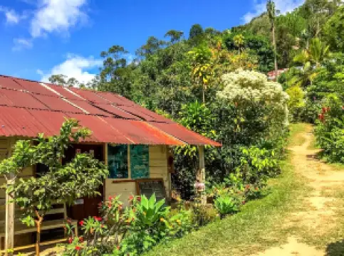 Réserve Peyrieras Madagascar Exotic