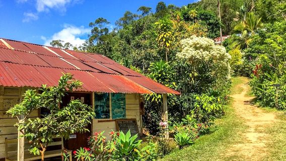 Réserve Peyrieras Madagascar Exotic