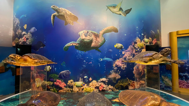 Royal Thai Navy Sea Turtle Conservation Center