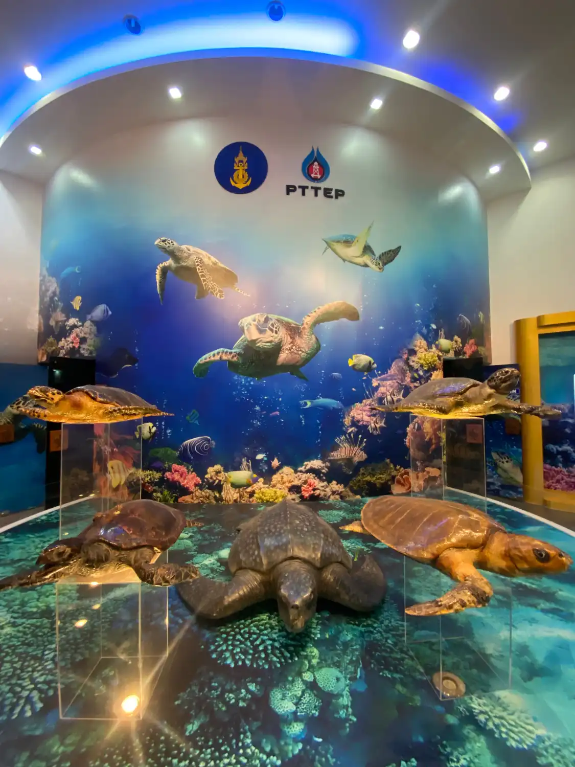Hotels in der Nähe von Sea Turtle Conservation Center