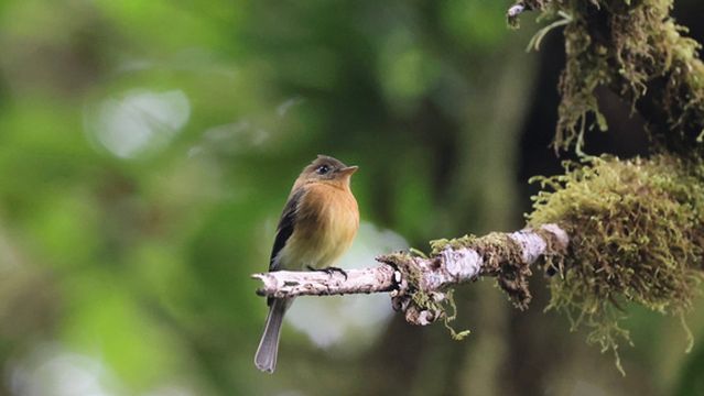 San Luis Adventure Park