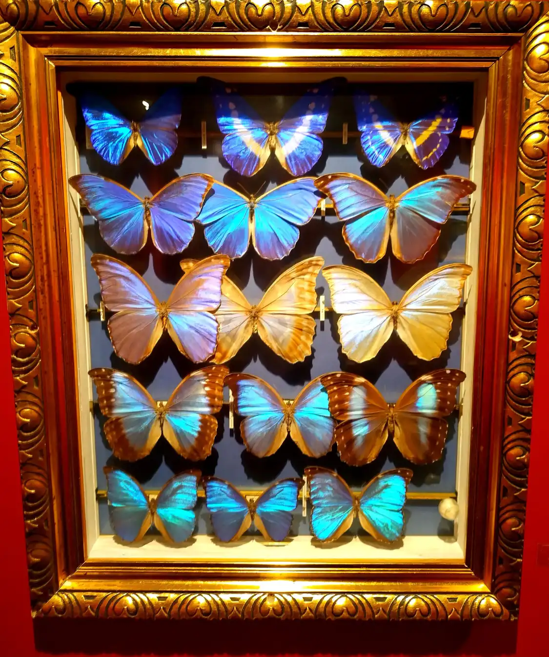 Hotels in der Nähe von Natur-Museum Kanton Luzern