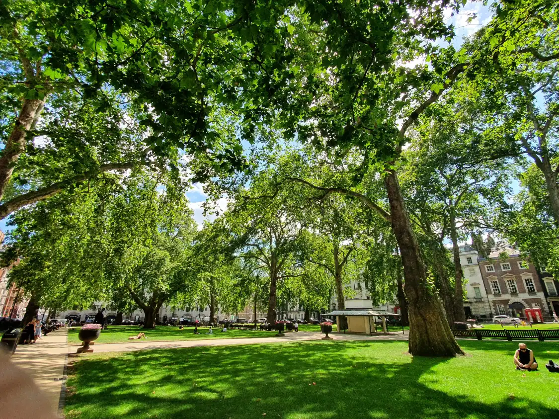 Hotels near Berkeley Square