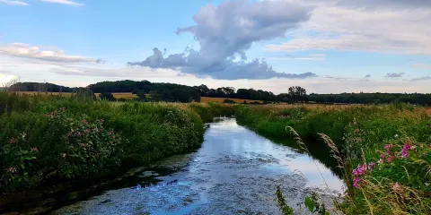 Conningbrook Lakes Country Park