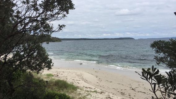 Cabbage Tree Beach