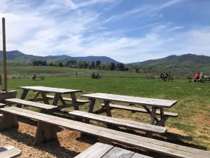 Pen Druid Brewing