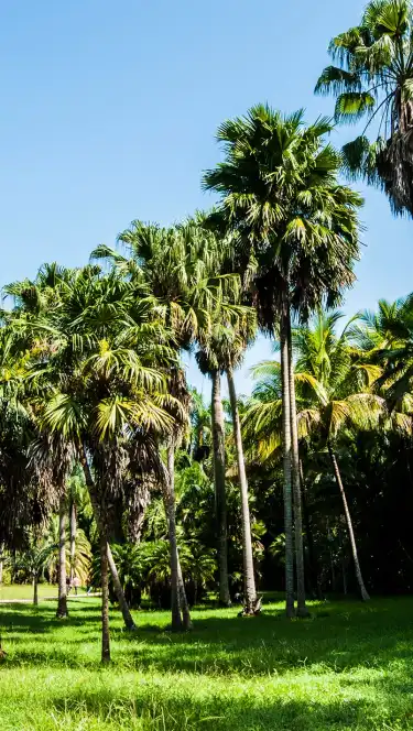 Hotels in Granma, Cuba