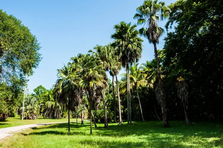 Hotels in Granma, Cuba