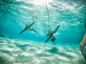 Sealingo Watersports