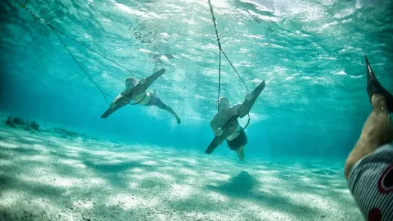 Sealingo Watersports