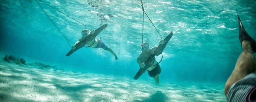 Sealingo Watersports