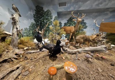 Natural History Museum of Meteora and Mushroom Museum