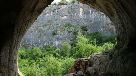 Prohodna Cave