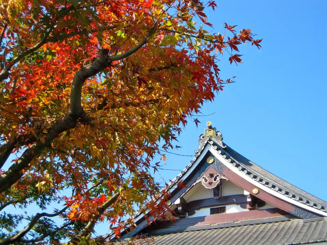 Hotels near Horen-ji Temple