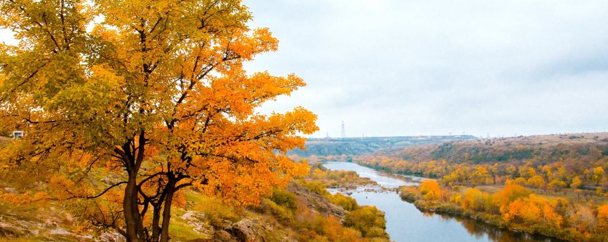 Вознесенский район