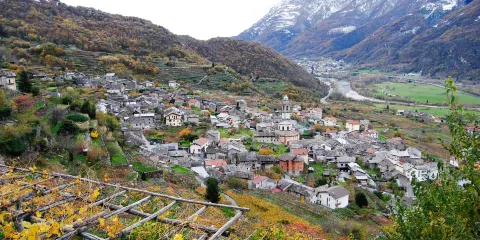Cantina Produttori Nebbiolo di Carema