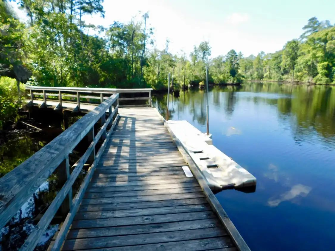 Creekside Park Dr附近的飯店