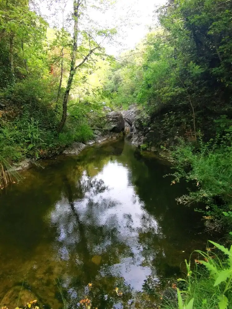 Castelnuovo di Val di Cecina