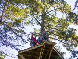 Lakeshore Adventures Zipline