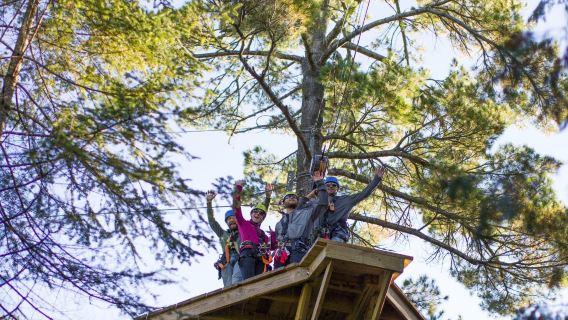 Lakeshore Adventures Zipline