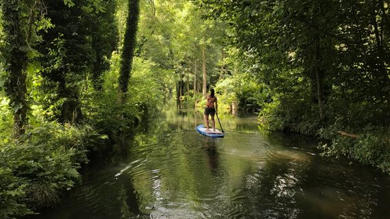 Stand up Paddling Spreewald Martin Fix