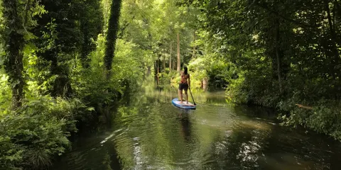 Stand Up Paddling Spreewald