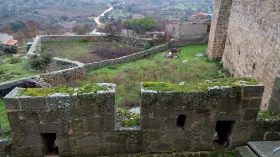 Castillo de San Felices de los Gallegos